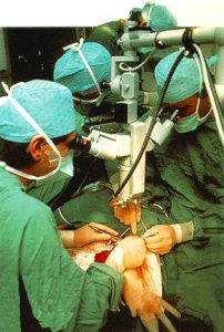 Μικροχειρουργική